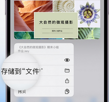 顺城apple维修中心分享iPhone文件应用中存储和找到下载文件