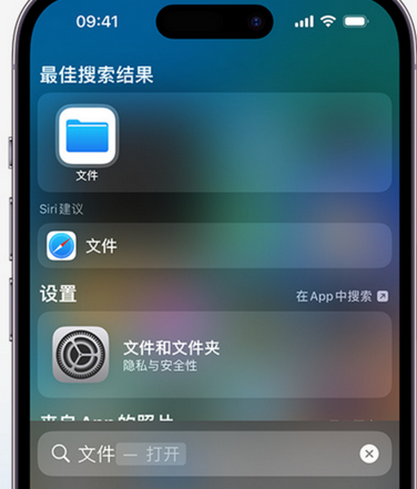 顺城apple维修中心分享iPhone文件应用中存储和找到下载文件 