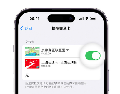 顺城apple维修点分享iPhone上更换Apple Pay快捷交通卡手绘卡面 