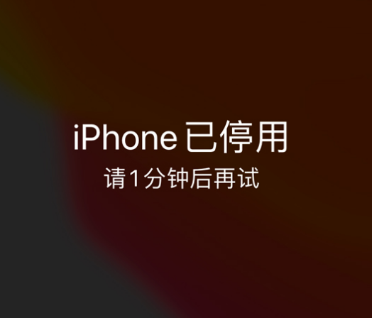 顺城苹果手机维修分享:iPhone 显示“不可用”或“已停用”怎么办？还能保留数据吗？ 