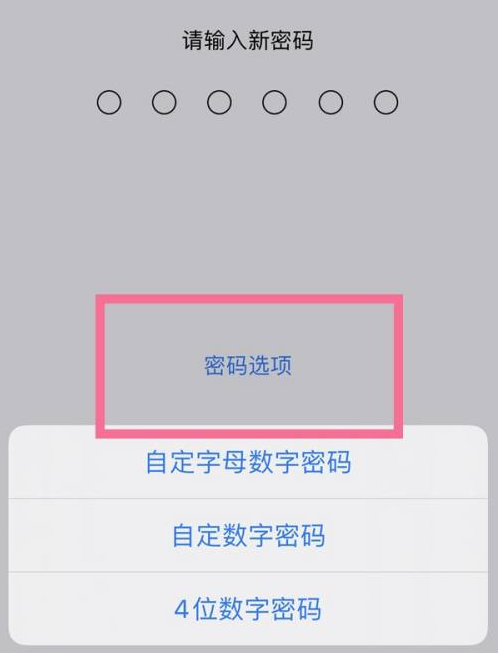 顺城苹果14维修分享iPhone 14plus设置密码的方法 