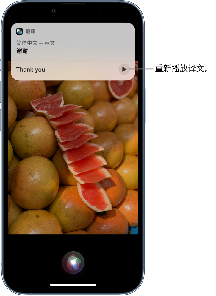 顺城苹果14维修分享 iPhone 14 机型中使用 Siri：了解 Siri 能帮你做什么 