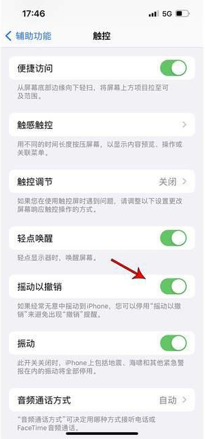 顺城苹果手机维修分享iPhone手机如何设置摇一摇删除文字 