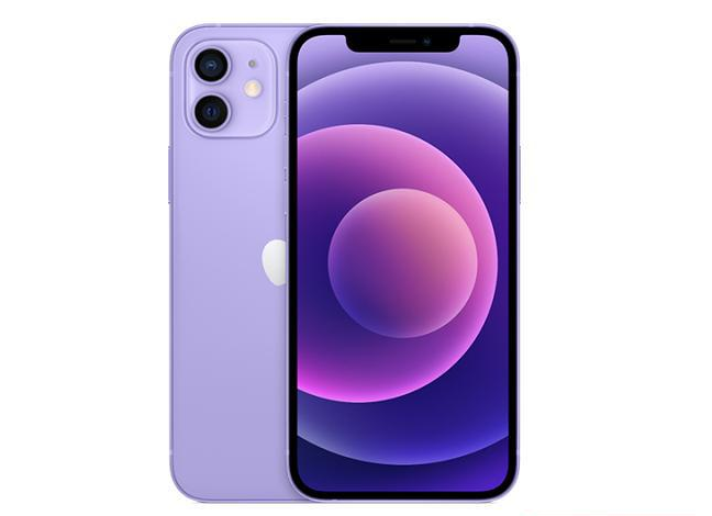 顺城苹果手机维修分享现阶段要不要入手紫色版iPhone12 